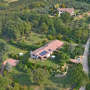  Bed & Breakfast Romy Rocker